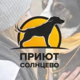 Приют для собак Солнцево
