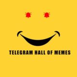Telegram Hall Of Memes 😂