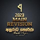 2023 MAIN REVISION - AP