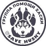 Спасём Хаски | Save Husky