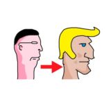 Инцелостетика
