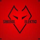 Simargl Elektro | электромотоциклы | электроквадроциклы