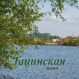Тацинский район News