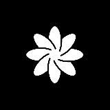 Crypto flOwer✨