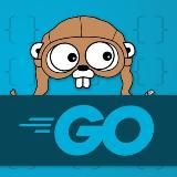 PRO Go