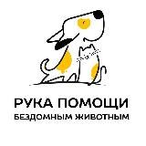 РУКА ПОМОЩИ БЕЗДОМНЫМ ЖИВОТНЫМ