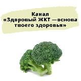«Здоровый ЖКТ —основа твоего здоровья»