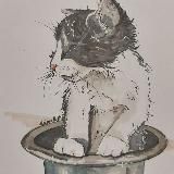 40catsFM🐈🐈‍⬛
