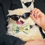 Котики, похожие на моего парня