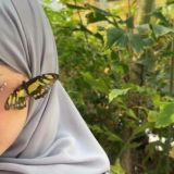 فـراشـة🦋.