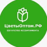 Цветы Оптом.РФ