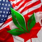 APLGO US