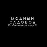 РАСПРОДАЖА САДОВОД 27-33