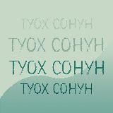 Т У О Х • С О Н У Н