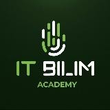 IT-BILIM Stady