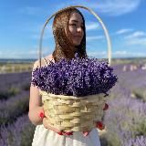 Валерия | Архитектура продвижения