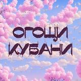 огощи