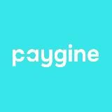 Paygine: финтех для бизнеса и людей