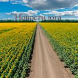 Новости Юга
