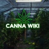 CannaWiki 🌱