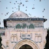 معالم في طريق الإصلاح