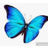 🦋Testerlinge🦋