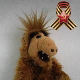 Альф | Новости