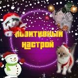 Позитивный Настрой