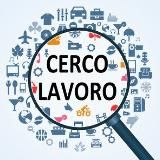 Cerco Lavoro 24H 🔍