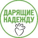 Дарящие надежду — фонд помощи животным