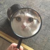Да это же кисулькин! 😼