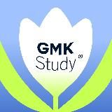 Мама, я девелопер | GMKStudy