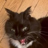Ника Meow 📚🔞 Книги, манхвы, жизнь и приколдесы всякие💅