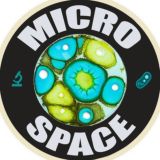 Microspace