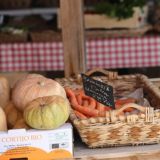Offerte Alimentazione Costituzionale