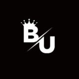 BUSINESS UNIVER$ITY