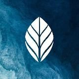 BIODOC⎰БАД
