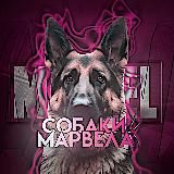 🐕шприц олег💉