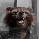 ХОББИ ЕНОТ · HOBBY COON · подарки / настолки / комиксы в Находке
