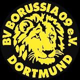 Dortmund Vibes | Шмели из Дортмунда
