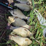 🐟Рыболовы🐟"13"