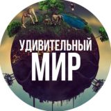 Удивительный мир🌍