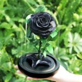 La Rose noir 🌹