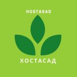 Хостасад 🌱