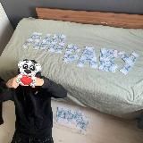 савойд