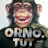 Тут Орно