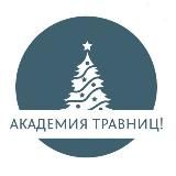 ⛄️♡Академия травниц♡ || Школа травниц ❄️