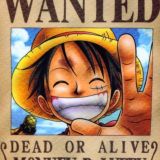 One Piece Palace