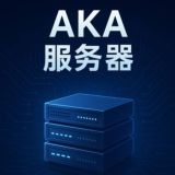 AKA 稳定服务器｜高防CDN｜全球节点｜企业级性能