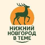 Нижний Новгород в теме